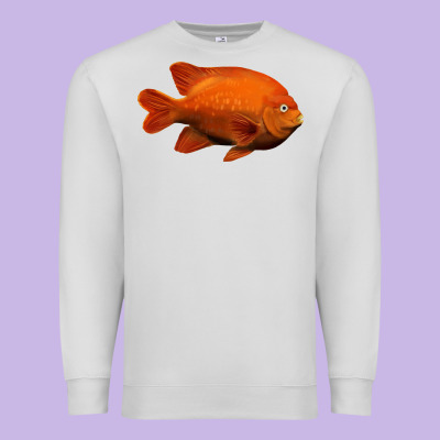 California Garibaldi Fish Premium Sweatshirt Designed By Ranaportraitstore