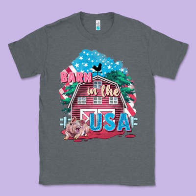 Barn In The Usa Classic Tee Designed By Fadigitalartstudio