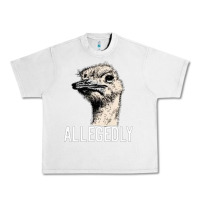 Lunar Rock letterkenny allegedly ostrich funny Urban Heavy Tee - artisFamous