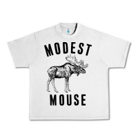 Lunar Rock modest mouse Urban Heavy Tee - artisFamous