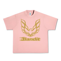 Salmon bandit Urban Heavy Tee - artisFamous