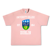 Salmon university college dublin Urban Heavy Tee - artisFamous