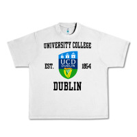 Lunar Rock university college dublin Urban Heavy Tee - artisFamous