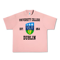 Salmon university college dublin Urban Heavy Tee - artisFamous
