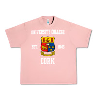 Salmon university college cork Urban Heavy Tee - artisFamous