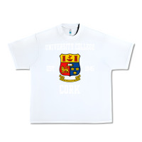 White university college cork Urban Heavy Tee - artisFamous