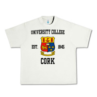 Pistachio university college cork Urban Heavy Tee - artisFamous