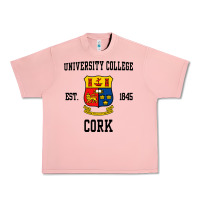 Salmon university college cork Urban Heavy Tee - artisFamous