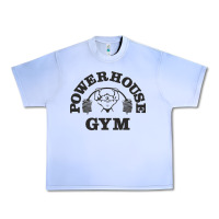 Grape Ice power hause gym Urban Heavy Tee - artisFamous