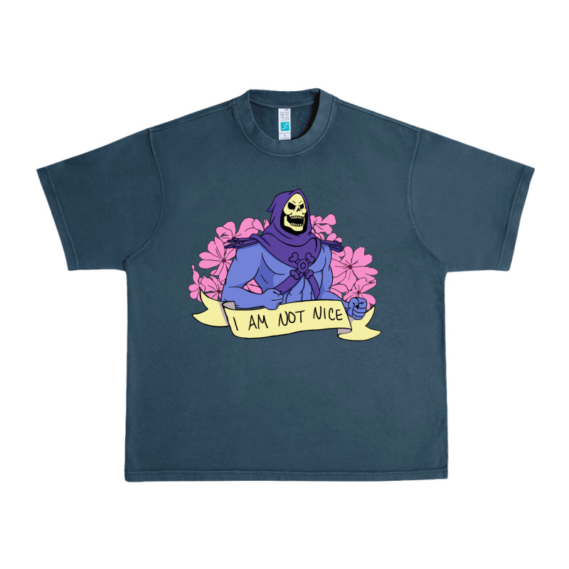 Vintage Skeletor ı Am Not Nice Urban Heavy Tee by artisFamous | Teevron