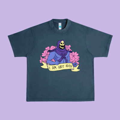 Vintage Skeletor ı Am Not Nice Urban Heavy Tee Designed By Artisfamous