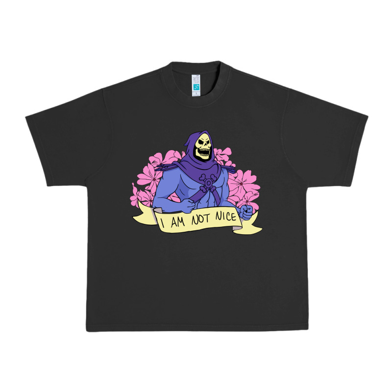 Vintage Skeletor ı Am Not Nice Urban Heavy Tee by artisFamous | Teevron