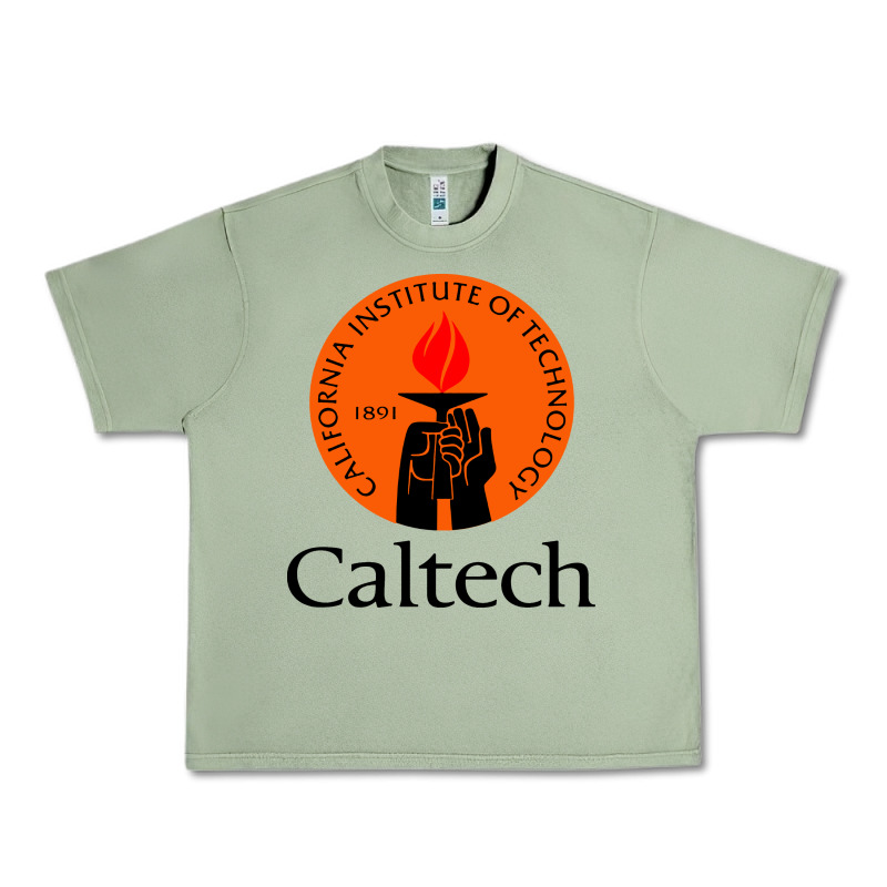 Caltech California Institute Urban Heavy Tee by artisFamous | Teevron