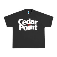 Pigment Black cedar point Urban Heavy Tee - artisFamous