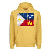 Antique Gold louisiana flag background Premium Hoodie - BarkalooDesign