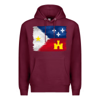 Burgundy louisiana flag background Premium Hoodie - BarkalooDesign