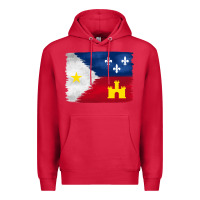 Cardinal louisiana flag background Premium Hoodie - BarkalooDesign