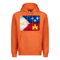 Carrot louisiana flag background Premium Hoodie - BarkalooDesign