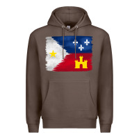 Coffee louisiana flag background Premium Hoodie - BarkalooDesign