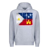 Heather Grey louisiana flag background Premium Hoodie - BarkalooDesign