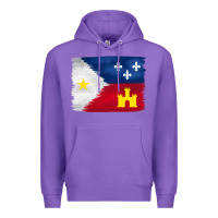 Purple louisiana flag background Premium Hoodie - BarkalooDesign