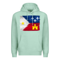 Seafoam louisiana flag background Premium Hoodie - BarkalooDesign