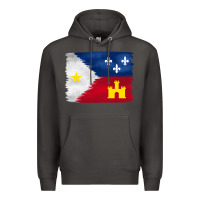 Smoke louisiana flag background Premium Hoodie - BarkalooDesign