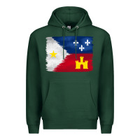 Sports Green louisiana flag background Premium Hoodie - BarkalooDesign