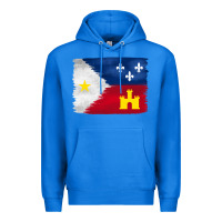 True Royal louisiana flag background Premium Hoodie - BarkalooDesign