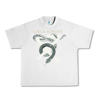 Lunar Rock Circa Survive Urban Heavy Tee - artisFamous