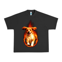 Pigment Black Dog In Fire Urban Heavy Tee - artisFamous