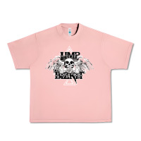 Salmon Limp Bizkit Essential Urban Heavy Tee - artisFamous