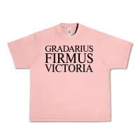 Salmon gradarius firmus victoria Urban Heavy Tee - artisFamous