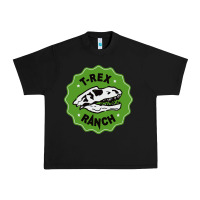 Black t rex ranch Urban Heavy Tee - artisFamous