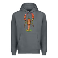 Rock lobster Premium Hoodie - BarkalooDesign