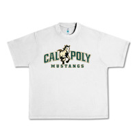 Lunar Rock cal poly mustangs Urban Heavy Tee - artisFamous