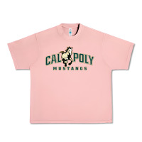 Salmon cal poly mustangs Urban Heavy Tee - artisFamous