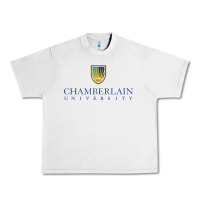Lunar Rock Chamberlain College Nursing Urban Heavy Tee - artisFamous
