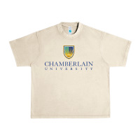 Sandshell Chamberlain College Nursing Urban Heavy Tee - artisFamous