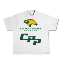 Lunar Rock cal pol pomona Urban Heavy Tee - artisFamous