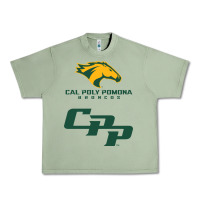 Cal Pol Pomona Urban Heavy Tee | Teevron