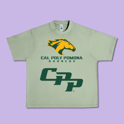 Cal Pol Pomona Urban Heavy Tee Designed By Artisfamous