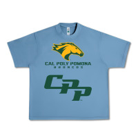 Pebble Blue cal pol pomona Urban Heavy Tee - artisFamous
