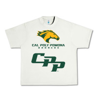 Pistachio cal pol pomona Urban Heavy Tee - artisFamous