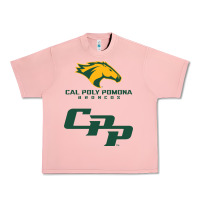 Salmon cal pol pomona Urban Heavy Tee - artisFamous