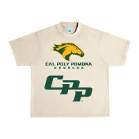 Sandshell cal pol pomona Urban Heavy Tee - artisFamous