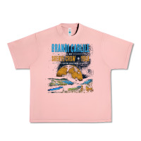 Salmon Brandi Carlile Poster Urban Heavy Tee - artisFamous