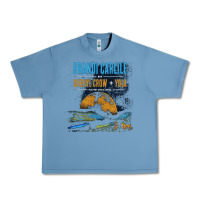 Pebble Blue Brandi Carlile Poster Urban Heavy Tee - artisFamous