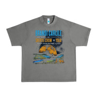 Tornado Brandi Carlile Poster Urban Heavy Tee - artisFamous