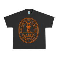 Pigment Black Kalamazoo College Urban Heavy Tee - artisFamous